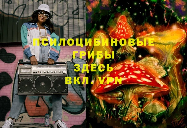 спиды Покачи