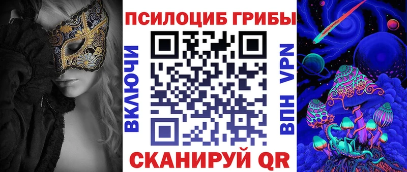shop какой сайт  Вязьма  Псилоцибиновые грибы Psilocybine cubensis 